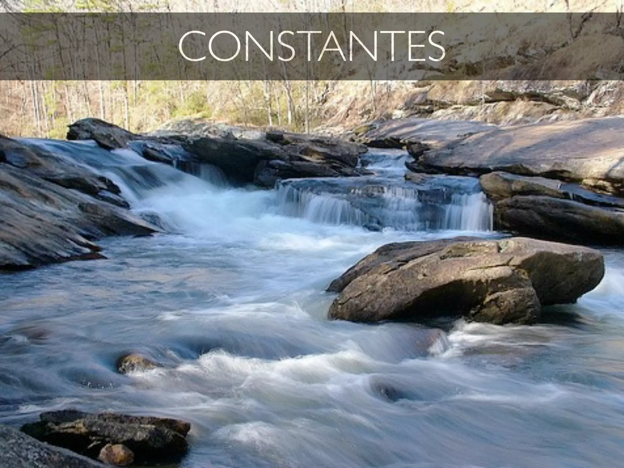 CONSTANTES
 