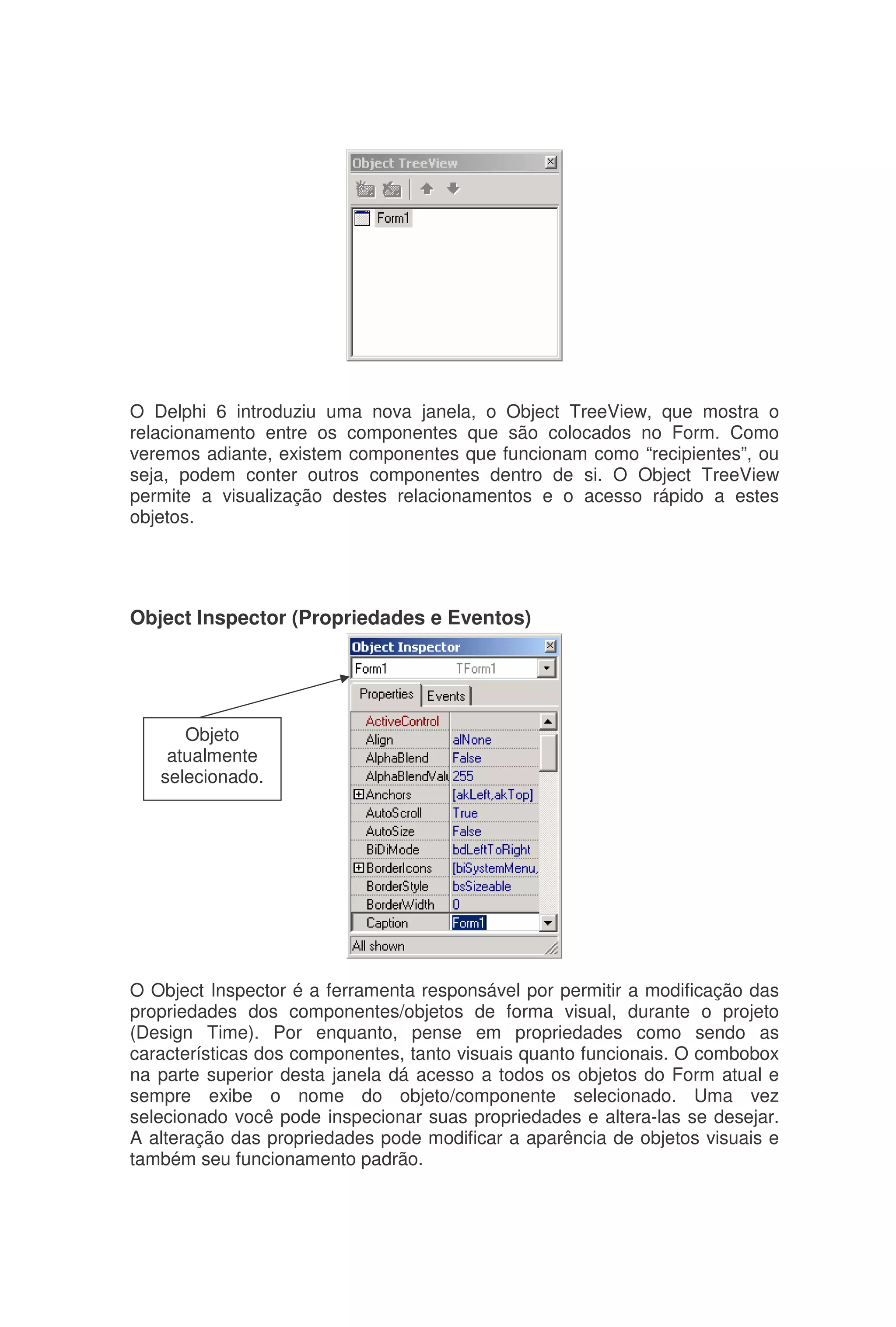 O Delphi 6 introduziu uma nova janela, o Object TreeView, que mostra o
relacionamento entre os componentes que são colocados no Form. Como
veremos adiante, existem componentes que funcionam como “recipientes”, ou
seja, podem conter outros componentes dentro de si. O Object TreeView
permite a visualização destes relacionamentos e o acesso rápido a estes
objetos.
Object Inspector (Propriedades e Eventos)
O Object Inspector é a ferramenta responsável por permitir a modificação das
propriedades dos componentes/objetos de forma visual, durante o projeto
(Design Time). Por enquanto, pense em propriedades como sendo as
características dos componentes, tanto visuais quanto funcionais. O combobox
na parte superior desta janela dá acesso a todos os objetos do Form atual e
sempre exibe o nome do objeto/componente selecionado. Uma vez
selecionado você pode inspecionar suas propriedades e altera-las se desejar.
A alteração das propriedades pode modificar a aparência de objetos visuais e
também seu funcionamento padrão.
Objeto
atualmente
selecionado.
 