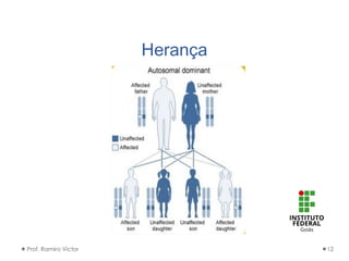 Herança
Prof. Ramiro Victor 12
 