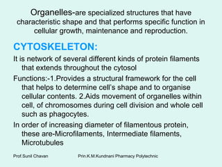 Prin.K.M.Kundnani Pharmacy PolytechnicProf.Sunil Chavan
Organelles-are specialized structures that have
characteristic shape and that performs specific function in
cellular growth, maintenance and reproduction.
CYTOSKELETON:
It is network of several different kinds of protein filaments
that extends throughout the cytosol
Functions:-1.Provides a structural framework for the cell
that helps to determine cell’s shape and to organise
cellular contents. 2.Aids movement of organelles within
cell, of chromosomes during cell division and whole cell
such as phagocytes.
In order of increasing diameter of filamentous protein,
these are-Microfilaments, Intermediate filaments,
Microtubules
 