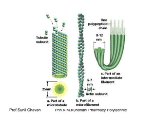 Prof.Sunil Chavan Prin.K.M.Kundnani Pharmacy Polytechnic
 