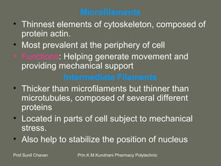 Prin.K.M.Kundnani Pharmacy PolytechnicProf.Sunil Chavan
Microfilaments
• Thinnest elements of cytoskeleton, composed of
protein actin.
• Most prevalent at the periphery of cell
• Functions: Helping generate movement and
providing mechanical support
Intermediate Filaments
• Thicker than microfilaments but thinner than
microtubules, composed of several different
proteins
• Located in parts of cell subject to mechanical
stress.
• Also help to stabilize the position of nucleus
 
