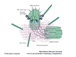 Prof.Sunil Chavan Prin.K.M.Kundnani Pharmacy Polytechnic
 