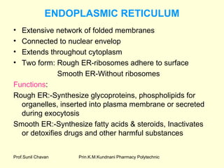 Prin.K.M.Kundnani Pharmacy PolytechnicProf.Sunil Chavan
ENDOPLASMIC RETICULUM
• Extensive network of folded membranes
• Connected to nuclear envelop
• Extends throughout cytoplasm
• Two form: Rough ER-ribosomes adhere to surface
Smooth ER-Without ribosomes
Functions:
Rough ER:-Synthesize glycoproteins, phospholipids for
organelles, inserted into plasma membrane or secreted
during exocytosis
Smooth ER:-Synthesize fatty acids & steroids, Inactivates
or detoxifies drugs and other harmful substances
 