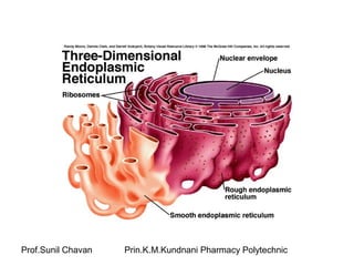 Prof.Sunil Chavan Prin.K.M.Kundnani Pharmacy Polytechnic
 