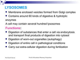 Prin.K.M.Kundnani Pharmacy PolytechnicProf.Sunil Chavan
LYSOSOMES
 Membrane enclosed vesicles formed from Golgi complex
 Contains around 60 kinds of digestive & hydrolytic
enzymes
A cell may contain several hundred lysosomes
Functions:
 Digestion of substances that enter a cell via endocytosis
and transport final products of digestion into cytosol
 Digestion of worn-out organelles (autophagy)
 Digestion of entire cell in pathological conditions
 Carry out extra-cellular digestion during fertilzation
 