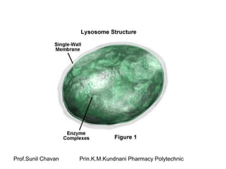 Prof.Sunil Chavan Prin.K.M.Kundnani Pharmacy Polytechnic
 