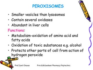 Prof.Sunil Chavan Prin.K.M.Kundnani Pharmacy Polytechnic
PEROXISOMES
• Smaller vesicles than lysosomes
• Contain several oxidases
• Abundant in liver cells
Functions:
• Metabolism-oxidation of amino acid and
fatty acids
• Oxidation of toxic substances e.g. alcohol
• Protects other parts of cell from action of
hydrogen peroxide
 