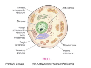 Prof.Sunil Chavan Prin.K.M.Kundnani Pharmacy Polytechnic
CELL
 