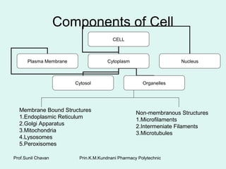 Prin.K.M.Kundnani Pharmacy PolytechnicProf.Sunil Chavan
Components of Cell
Membrane Bound Structures
1.Endoplasmic Reticulum
2.Golgi Apparatus
3.Mitochondria
4.Lysosomes
5.Peroxisomes
Non-membranous Structures
1.Microfilaments
2.Intermeniate Filaments
3.Microtubules
CELL
Plasma Membrane Cytoplasm Nucleus
Cytosol Organelles
 