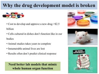 Drug Development Animals Organ on a chip- replacement of laboratory animal | PPTX