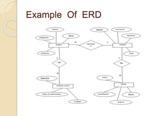 Example Of ERD
 