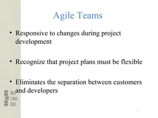 45
Agile Teams
• Responsive to changes during project
development
• Recognize that project plans must be flexible
• Eliminates the separation between customers
and developers
 