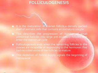 FOLLICULOGENESIS
■ It is the maturation of ovarian follicle,a densely packed
shell of somatic cells that contains an immature oocyte
■ This describes the progression of number of small
primordial follicles into large pre ovulatory follicles that
enter the menstrual cycle
■ Folliculogenesis ends when the remaining follicles in the
ovaries are incapable of responding to the hormones that
had recruited some of the follicles to mature
■ This depletion of follicle supply signals the beginning of
menopause
 