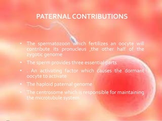 PATERNAL CONTRIBUTIONS
• The spermatozoon which fertilizes an oocyte will
contribute its pronucleus ,the other half of the
zygotic genome
• The sperm provides three essential parts
• . An activating factor which causes the dormant
oocyte to activate
• The haploid paternal genome
• The centrosome which is responsible for maintaining
the microtubule system
 
