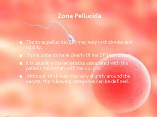 Zona Pellucida
■ The zona pellucida (ZP) may vary in thickness and
rigidity.
■ Some patients have clearly thiner ZP than others.
■ It is usually a characteristics associated with the
patient more than with the oocyte.
■ Although thickness may vary slightly around the
oocyte, the following categories can be defined.
 