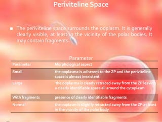 Periviteline Space
■ The periviteline space surrounds the ooplasm. It is generally
clearly visible, at least in the vicinity of the polar bodies. It
may contain fragments.
Parameter
Parameter Morphological aspect
Small the ooplasma is adherent to the ZP and the periviteline
space is almsot inexistent
Large the ooplasma is clearly retraced away from the ZP leaving
a clearly identifiable space all around the cytoplasm
With fragments presence of clearly identifiable fragments
Normal the ooplasm is slightly retracted away from the ZP at least
in the vicinity of the polar body
 