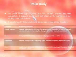 Polar Body
■ The polar body appear when the first meiotic division has been
completed. It appears as an small cell close to the oocyte and may
undergo a second division.
■ It usually rapidly degenerates and appears as a fragmented structure
Parameter MorphologicalAspects
Unclear or absent the polar body may not always be clearly identifiable, depending on how the oocyte is
oriented. It is absent in a metaphase I oocyte (before the first meiotic division)
Intact clearly identifiable smooth round/oval cell lying close to the oocytes
Fragmented the polar body material is irregular in shape and show clear signs of disorganization
Giant usually intact, giant polar bodies a clearly recognizable, they may achive size of about half
of that of an oocyte
 