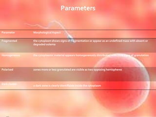 Parameters
Parameter MorphologicalAspect
Fragmented the cytoplasm shows signs of fragmentation or appear as an undefined mass with absent or
degraded oolema
Homogeneous the cytoplasmic material appears homogeneously distributed with little signs of granulation
Polarised zones more or less granulated are visible as two opposing hemispheres
Dark cluster
a dark zone is clearly identifiable inside the cytoplasm
 