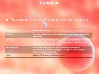 Inclusions
■ The cytoplasm may contain several remarkable structures.
Parameter Morphological aspect
Vacuole one large or several small vacuoles bounded with a clearly identifiable
membrane
SER cluster smooth endoplasmic reticulum appearing as clear spherical zones inside
the cytoplasm.The boundaries of these structures may not be easily
identified as in the case of vacuoles
Refractile body Refractile bodies constitute one of the main morphological
abnormalities in human oocytes and are made of auto fluorescing
lipofucsin (appear yellowish)
None absence of the above mentioned structures
 