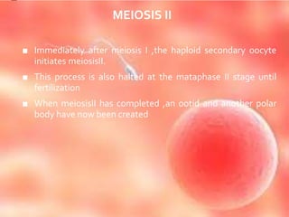 MEIOSIS II
■ Immediately after meiosis I ,the haploid secondary oocyte
initiates meiosisII.
■ This process is also halted at the mataphase II stage until
fertilization
■ When meiosisII has completed ,an ootid and another polar
body have now been created
 