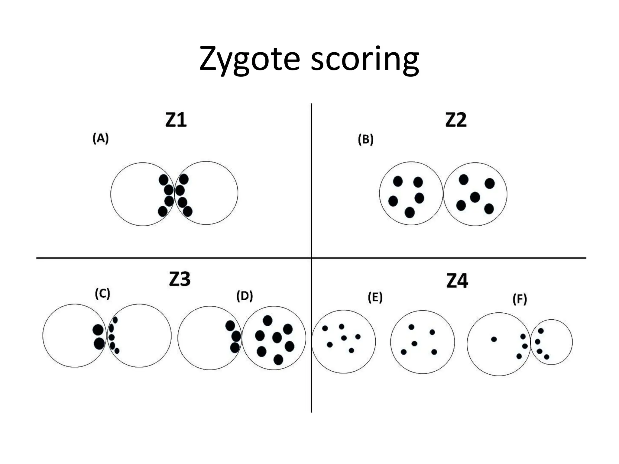 Oocyte and Embryo Grading blastocyst grading.pptx