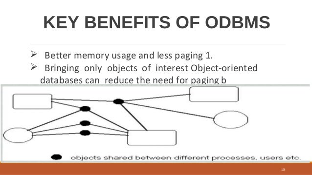 Object Oriented Database Management System