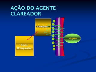 AÇÃO DO AGENTE
CLAREADOR

                Cromógeno




                            Oxigênio


     Efeito
  Branqueador
 