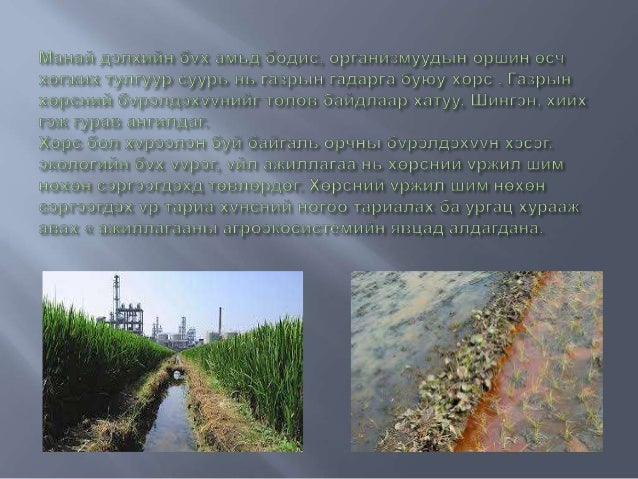 чулуун мандал гэж юу вэ