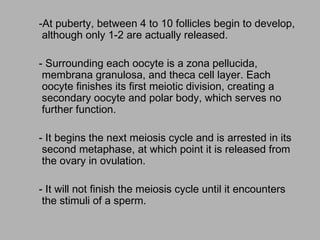 -At puberty, between 4 to 10 follicles begin to develop,
 although only 1-2 are actually released.

- Surrounding each oocyte is a zona pellucida,
 membrana granulosa, and theca cell layer. Each
 oocyte finishes its first meiotic division, creating a
 secondary oocyte and polar body, which serves no
 further function.

- It begins the next meiosis cycle and is arrested in its
 second metaphase, at which point it is released from
 the ovary in ovulation.

- It will not finish the meiosis cycle until it encounters
 the stimuli of a sperm.
 