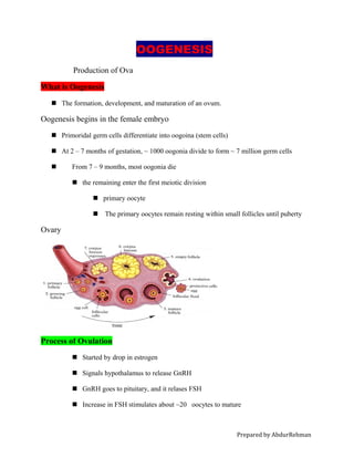 OOGENESIS
Production of Ova
What is Oogenesis
The formation, development, and maturation of an ovum.
Oogenesis begins in the female embryo
Primoridal germ cells differentiate into oogoina (stem cells)
At 2 – 7 months of gestation, ~ 1000 oogonia divide to form ~ 7 million germ cells
From 7 – 9 months, most oogonia die
the remaining enter the first meiotic division
primary oocyte
The primary oocytes remain resting within small follicles until puberty
Ovary
Process of Ovulation
Started by drop in estrogen
Signals hypothalamus to release GnRH
GnRH goes to pituitary, and it relases FSH
Increase in FSH stimulates about ~20 oocytes to mature
Prepared by AbdurRehman