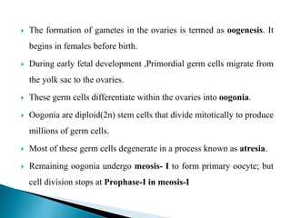 The formation of gametes in the ovaries is termed as oogenesis. It
begins in females before birth.
 During early fetal development ,Primordial germ cells migrate from
the yolk sac to the ovaries.
 These germ cells differentiate within the ovaries into oogonia.
 Oogonia are diploid(2n) stem cells that divide mitotically to produce
millions of germ cells.
 Most of these germ cells degenerate in a process known as atresia.
 Remaining oogonia undergo meosis- I to form primary oocyte; but
cell division stops at Prophase-I in meosis-I
 