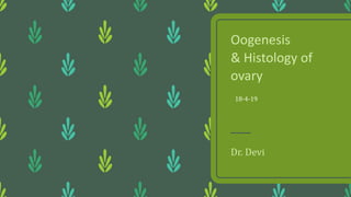 Oogenesis
& Histology of
ovary
Dr. Devi
18-4-19
 