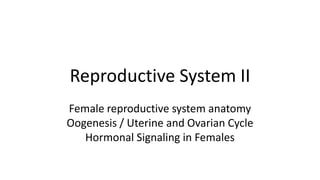 Reproductive System II
Female reproductive system anatomy
Oogenesis / Uterine and Ovarian Cycle
Hormonal Signaling in Females
 