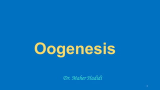1
Oogenesis
Dr. Maher Hadidi
 