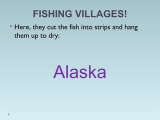FISHING VILLAGES!
 Here, they cut the fish into strips and hang
them up to dry:
Alaska
 