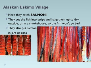 Alaskan Eskimo Village
 Here they catch SALMON!
 They cut the fish into strips and hang them up to dry
outside, or in a smokehouse, so the fish won’t go bad
 They also put salmon
in jars or cans
 