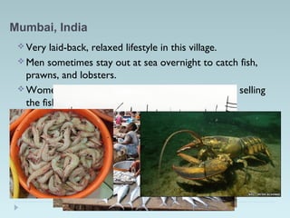 Mumbai, India
 Very laid-back, relaxed lifestyle in this village.
 Men sometimes stay out at sea overnight to catch fish,
prawns, and lobsters.
 Women support the fisherman by processing and selling
the fish in the market.
 