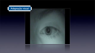 Adaptação visual
 