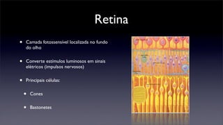 Retina
•   Camada fotossensível localizada no fundo
    do olho


•   Converte estímulos luminosos em sinais
    elétricos (impulsos nervosos)


•   Principais células:


    •   Cones


    •   Bastonetes
 