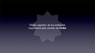 Órgão captador de luz ambiental,
responsável pelo sentido da visão.
 