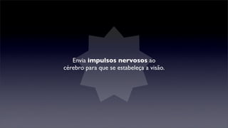 Envia impulsos nervosos ao
cérebro para que se estabeleça a visão.
 
