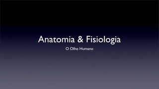 Anatomia & Fisiologia
      O Olho Humano
 