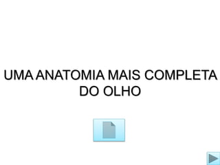 UMA ANATOMIA MAIS COMPLETA 
DO OLHO 
 