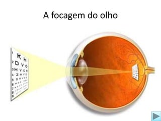 A focagem do olho 
 