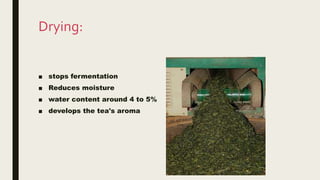Drying:
■ stops fermentation
■ Reduces moisture
■ water content around 4 to 5%
■ develops the tea's aroma
 