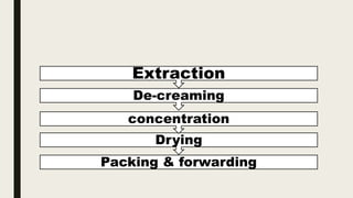 Packing & forwarding
Drying
concentration
De-creaming
Extraction
 