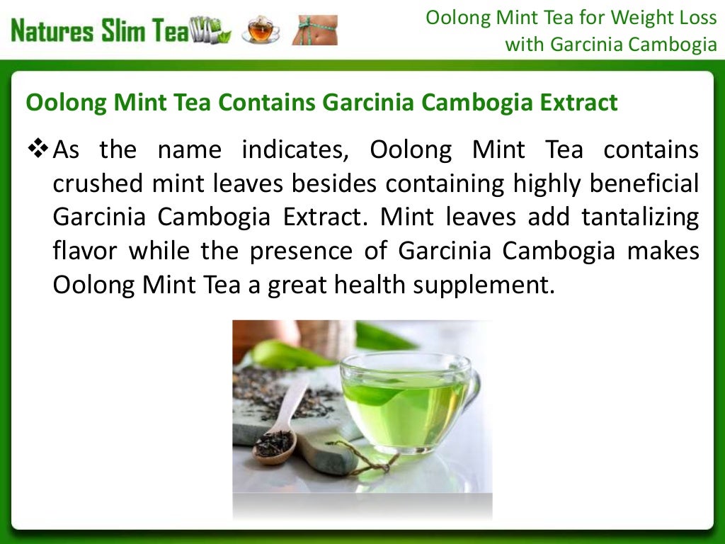 Oolong Mint Tea for Weight Loss with Garcinia Cambogia