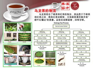 乌龙茶的制法　　乌龙茶综合了绿茶和红茶的制法，其品质介于绿茶和红茶之间，既有红茶浓鲜味，又有绿茶清芬香并有“绿叶红镶边”的美誉。品尝后齿颊留香，回味甘鲜。