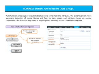 MANAGE Function: Auto Functions [Auto Groups]
Auto functions are designed to automatically deduce some metadata attributes. The current version allows
automatic deduction of Logical Names and Tags for data objects and attributes based on naming
conventions. This feature is very handy in assigning quick meanings to undocumented data stores.
How Auto Functions are Organized
Auto Groups
Auto Rules
Logical Name
Rules
Tagging
Rules
Provide a grouping of
auto rules
Specify the delimiter
used in naming
conventions
 